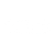 VICE